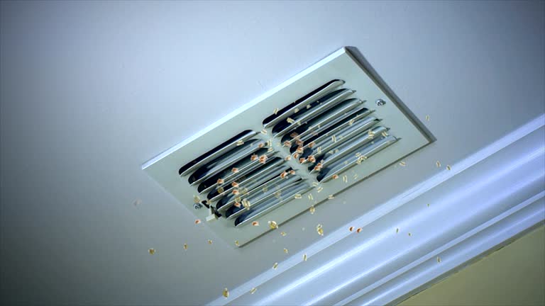 Best HVAC System Cleaning  in Oxford, IN